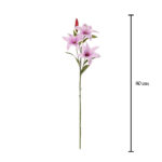 VARA LILIUM *FUXIA