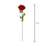 VARA ROSA