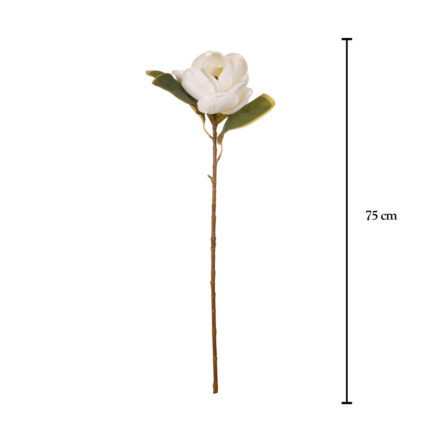 VARA MAGNOLIA