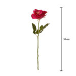VARA ROSA
