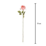 VARA ROSA AMERICA