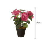 MACETITA PETUNIA *FUXIA