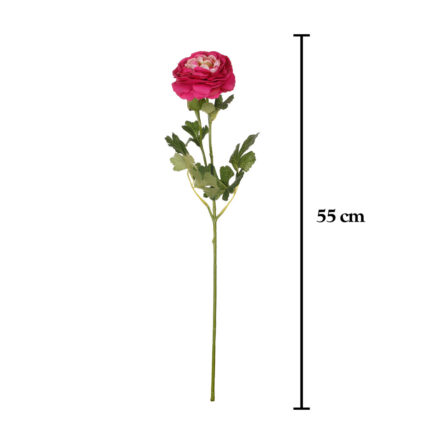 V.RANUNCULUS SPRAY *FUXIA