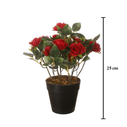 MACETITA ROSAL MINI *FUXIA
