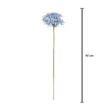 V.AZUCENA CABEZA MINI *FUXIA