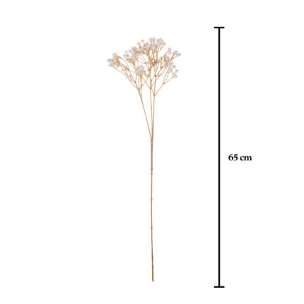 VARA GYPSOPHILA