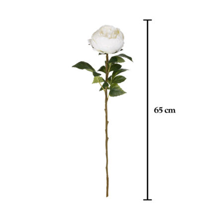 VARA PEONIA ELEGANCE