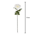 VARA ZINNIA ELEGANCE