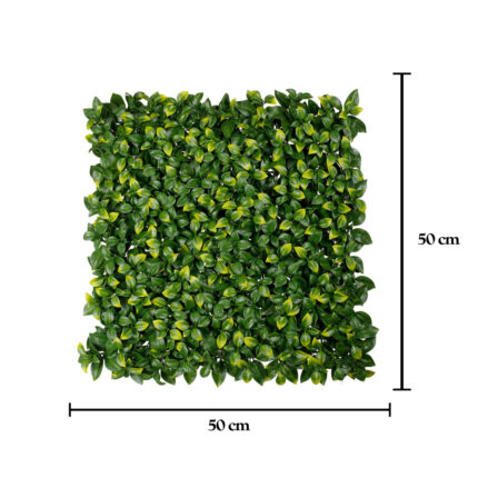 MURAL LAURUS NOBILIS 50X50