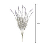 R.LAVANDA LARGO