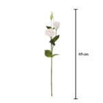 VARA LISIANTHUS SPRING