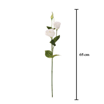 VARA LISIANTHUS SPRING