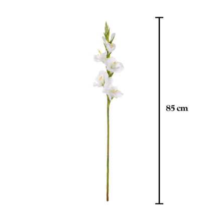 VARA GLADIOLO SPRING
