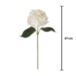 VARA HYDRANGEA SPRING