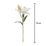 VARA LILIUM SPRING