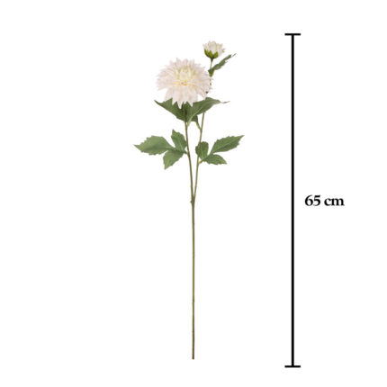 VARA DALIA SPRING