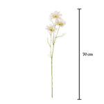 VARA COSMOS