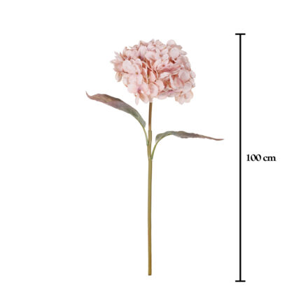 VARA HYDRANGEA OTOÑAL