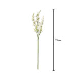 VARA CATMINT SPRAY