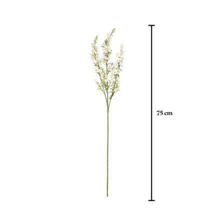 VARA CATMINT SPRAY