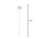 V. MINI GERBERA SPRAY