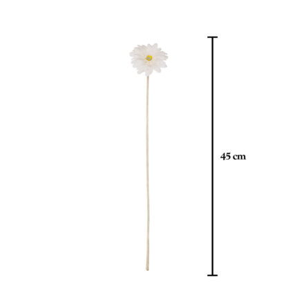 V. MINI GERBERA SPRAY