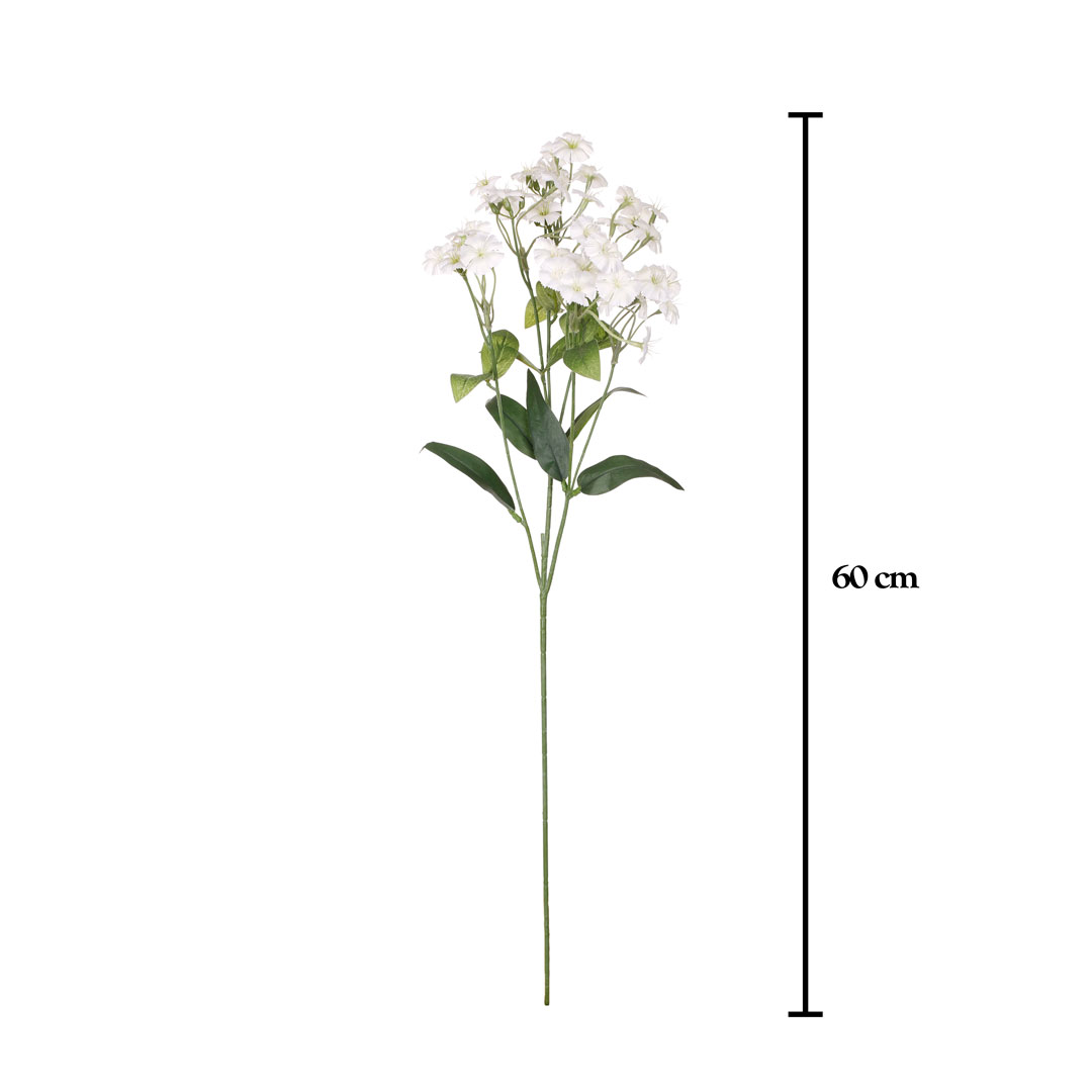 VARA DIANTHUS SPRAY