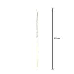 VARA DONKEY TAIL SPRAY