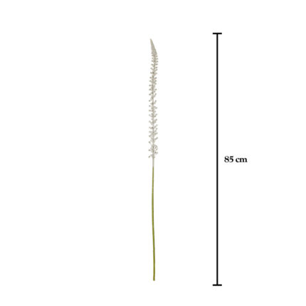 VARA DONKEY TAIL SPRAY