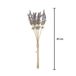 RAMO LAVANDA BUNDLE X12