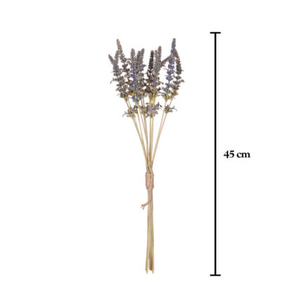RAMO LAVANDA BUNDLE X12