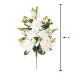 R.ENC.DALIAS/NARDOS
