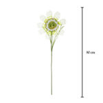 GIRASOL CARA
