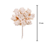 POMO CAPULLITOS FOAM