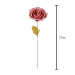 ROSA NATURAL CON HOJA