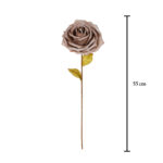 ROSA X1 *CAFE