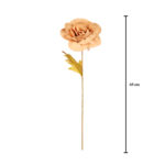 VARA ROSA OTOÑAL