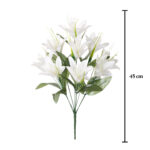 R. LILIUM