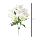 R. LILIUM GIG.