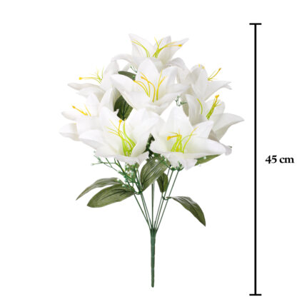 R. LILIUM GIG.