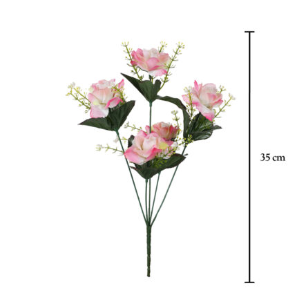 R.ROSA CHICO
