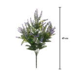 R.LAVANDA