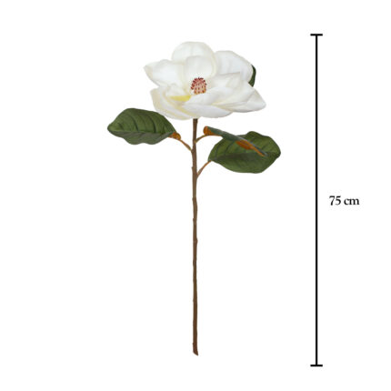 VARA MANGOLIA GRANDE