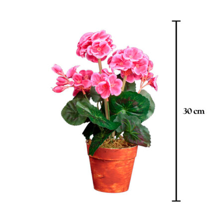 MACETA GERANEO *FUXIA