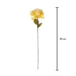 ROSA GRANDE