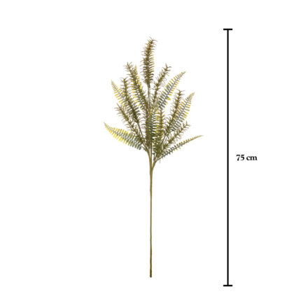 VARA HELECHO CON ESPARRAGUERA 80CM