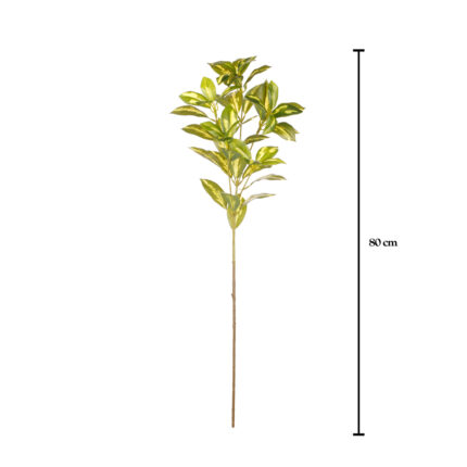 VARA FORTUNA 82CM