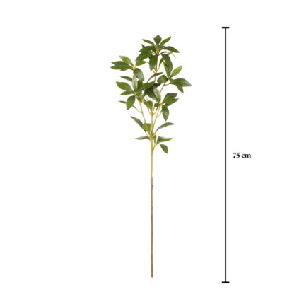VARA DURAZNO 78CM