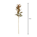 VARA LAUREL SEMILLA 70CM