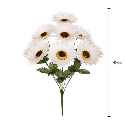 R. GIRASOL